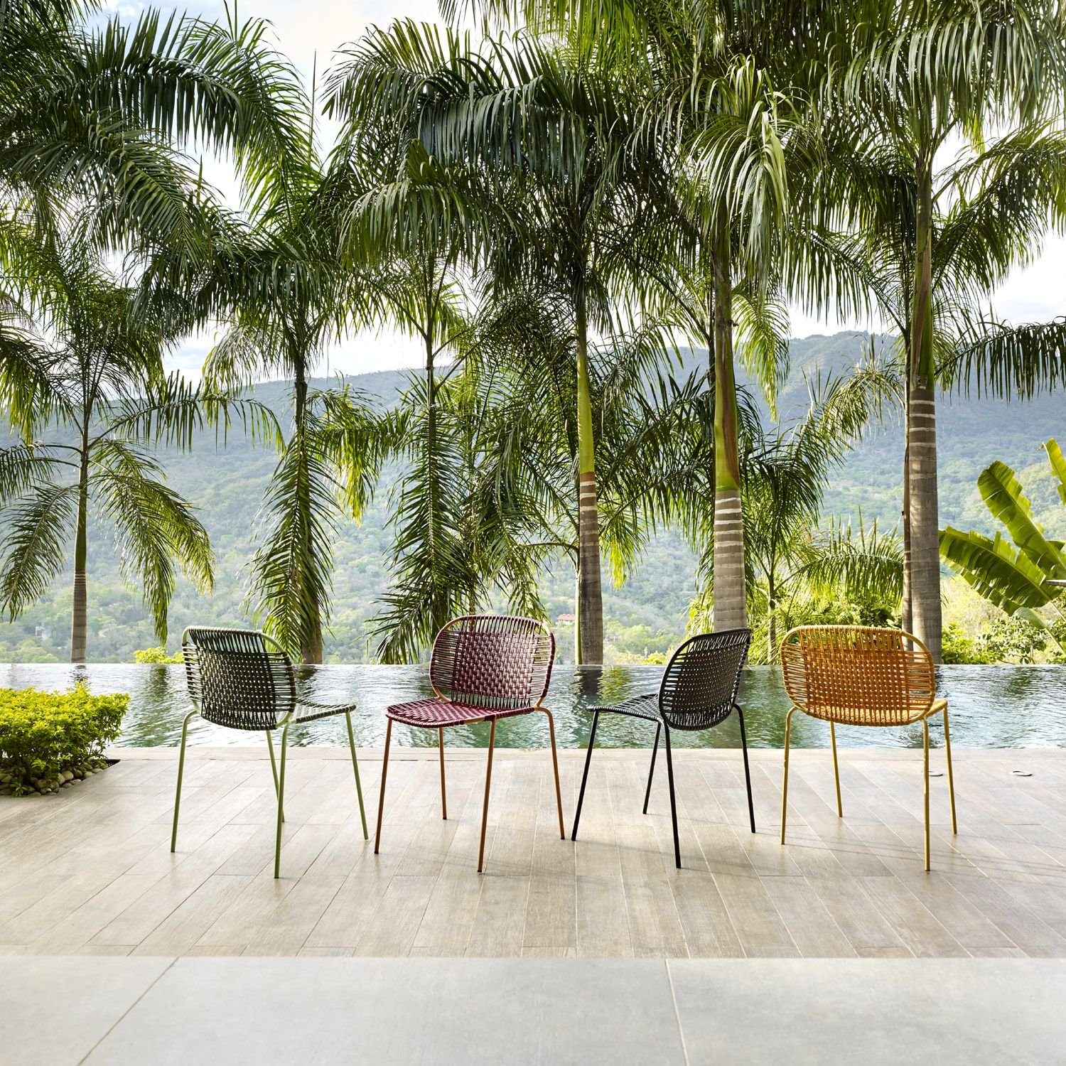 Cielo dining chairs sale